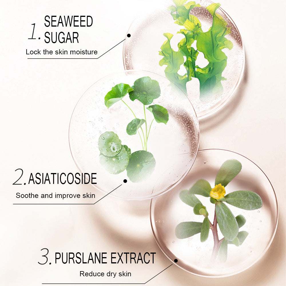 Skin Rice Mask Skin Care Products - BANGN CREATIVE SOLUTIONS 