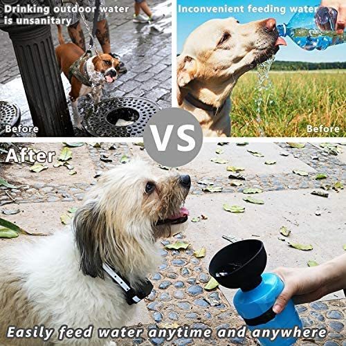 Pet Outdoor Foldable Bottle Dog Travel Water Bottle Dog Water Dispenser - BANGN CREATIVE SOLUTIONS 