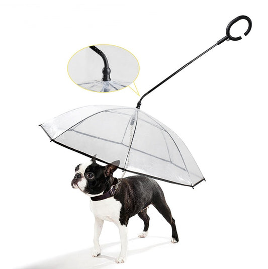 Hot Selling Transparent Pet Supplies Adjustable Pet C Type Umbrella - BANGN CREATIVE SOLUTIONS 