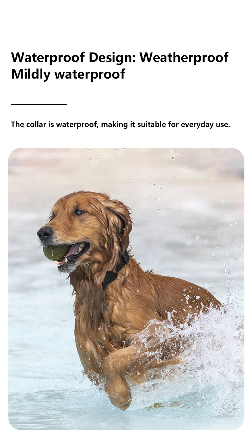 Pet GPS Tracker Collar – Waterproof Real‑Time Smart Locator