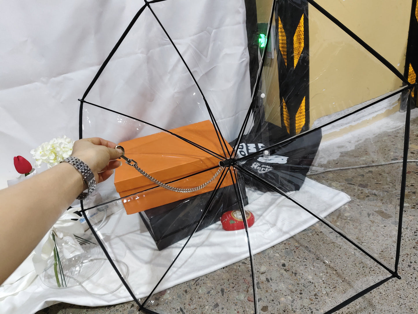 Hot Selling Transparent Pet Supplies Adjustable Pet C Type Umbrella - BANGN CREATIVE SOLUTIONS 